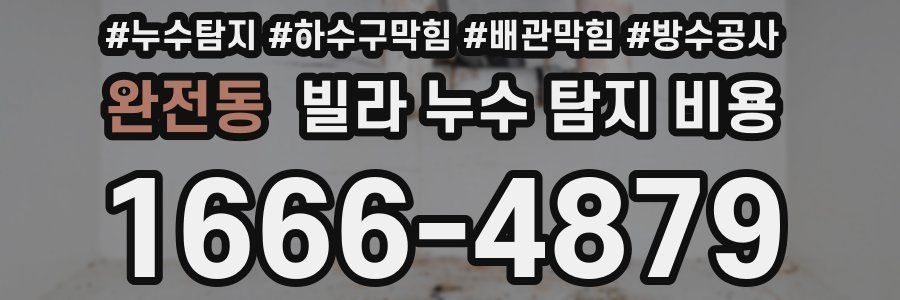 완전동 빌라 누수 탐지 비용
