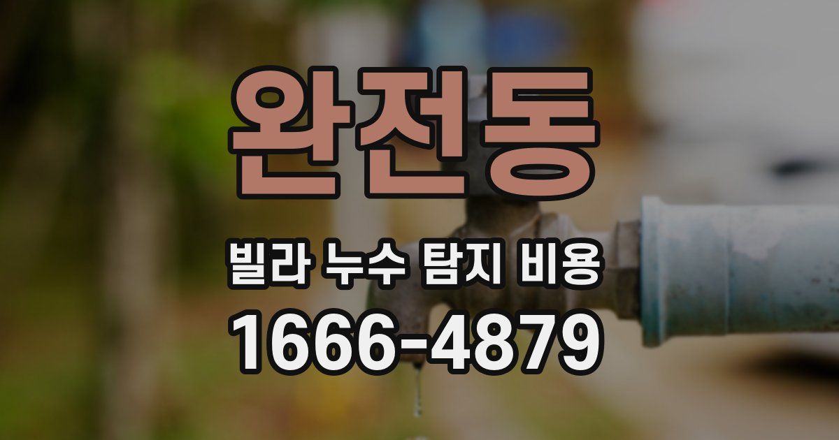완전동 빌라 누수 탐지 비용