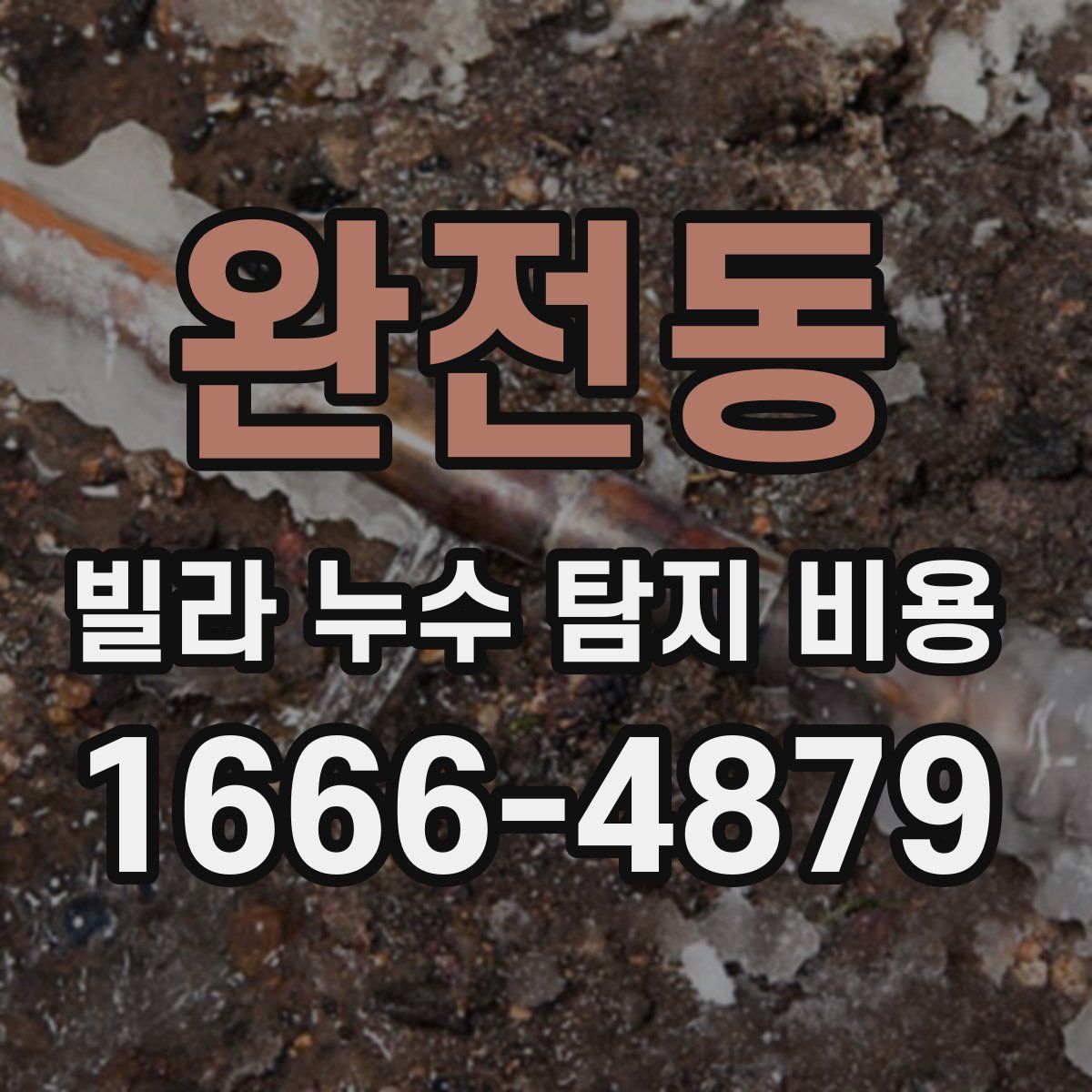 완전동 빌라 누수 탐지 비용