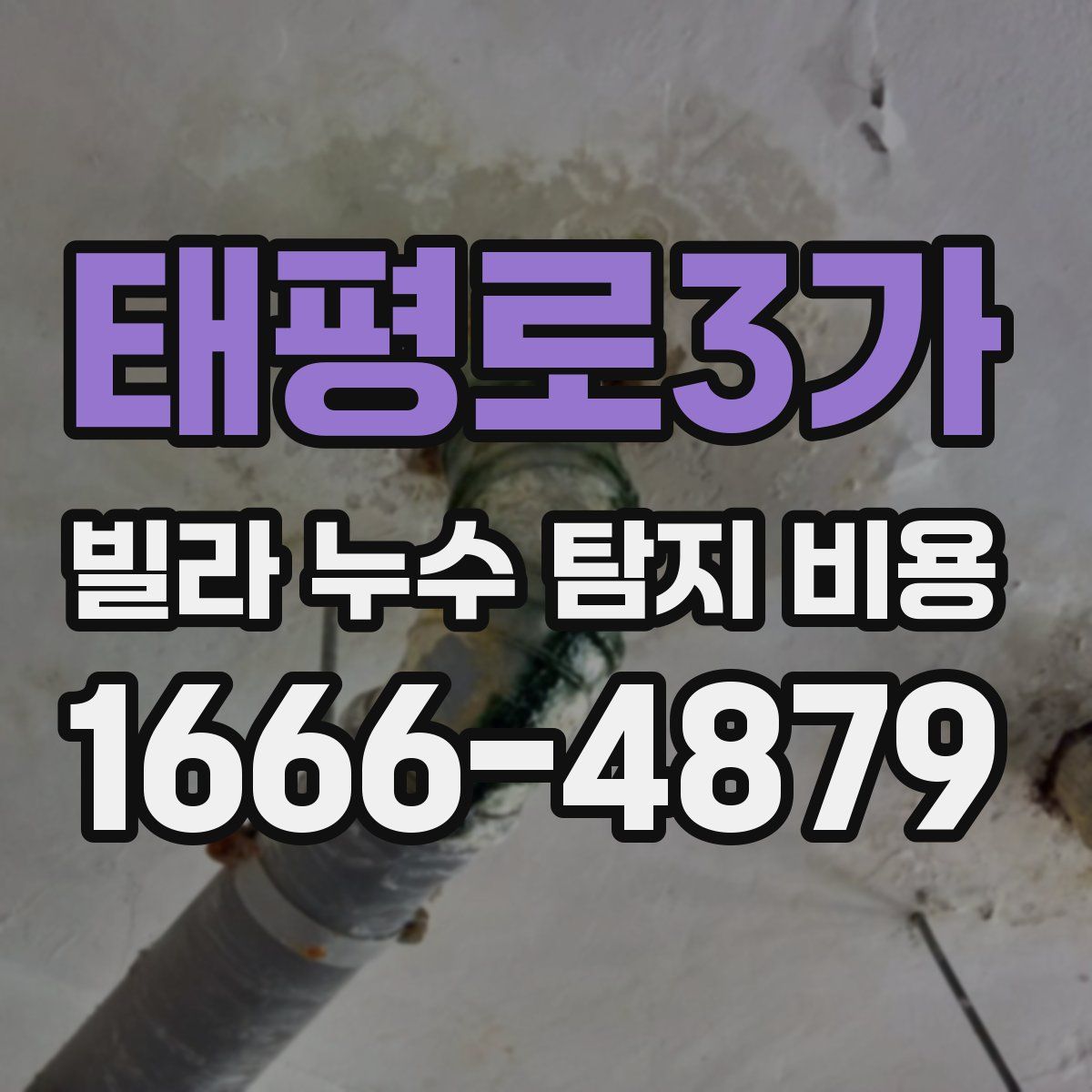 태평로3가 빌라 누수 탐지 비용