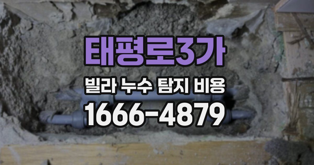 태평로3가 빌라 누수 탐지 비용