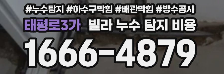 태평로3가 빌라 누수 탐지 비용