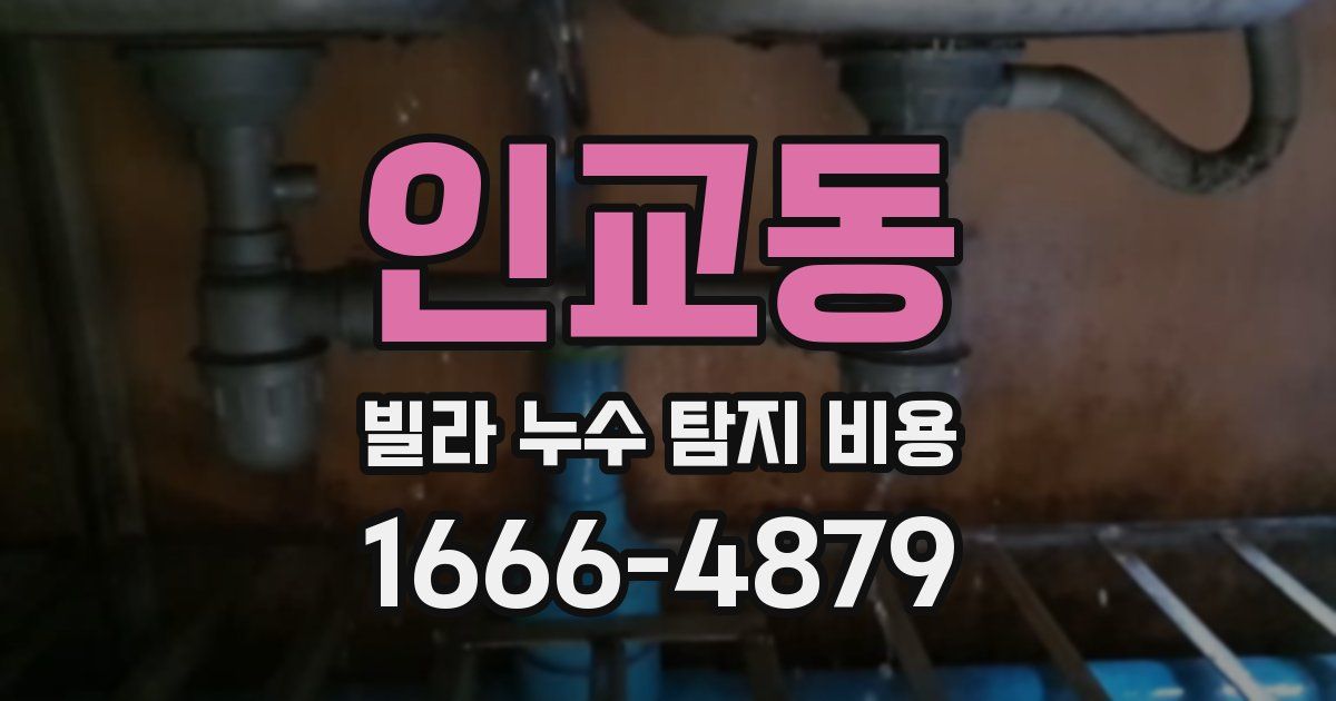 인교동 빌라 누수 탐지 비용
