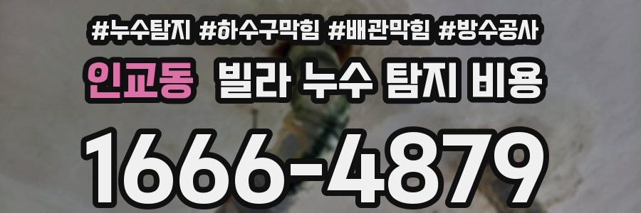인교동 빌라 누수 탐지 비용