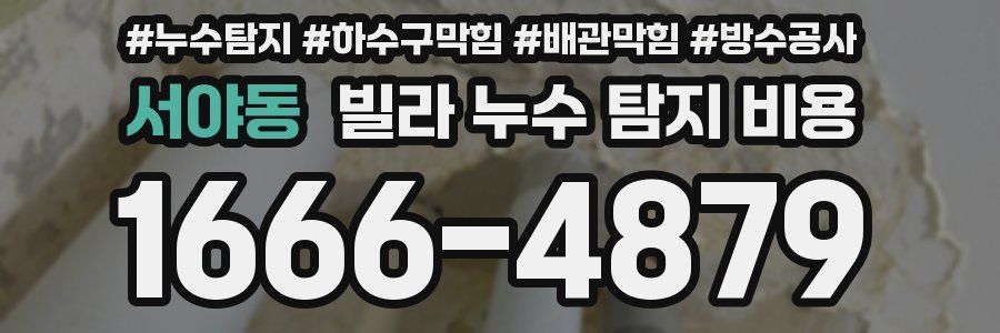 서야동 빌라 누수 탐지 비용