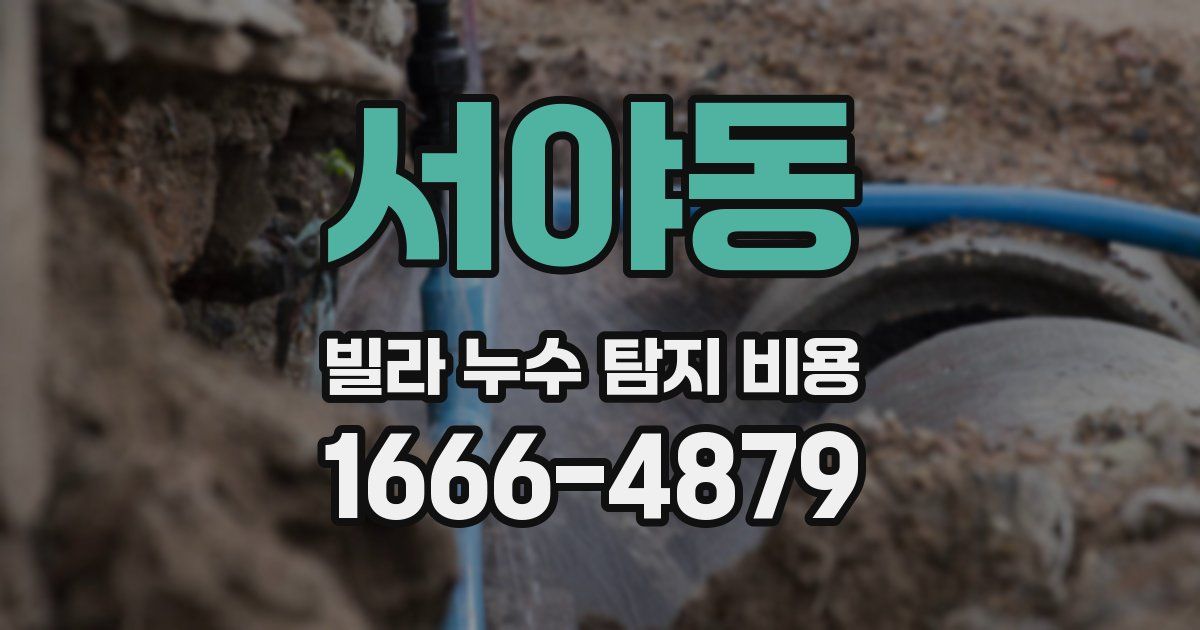 서야동 빌라 누수 탐지 비용