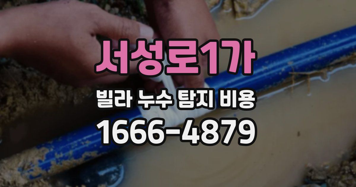 서성로1가 빌라 누수 탐지 비용