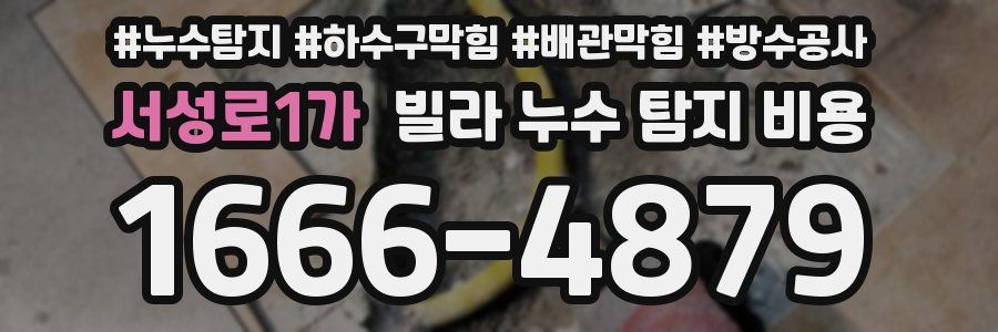 서성로1가 빌라 누수 탐지 비용
