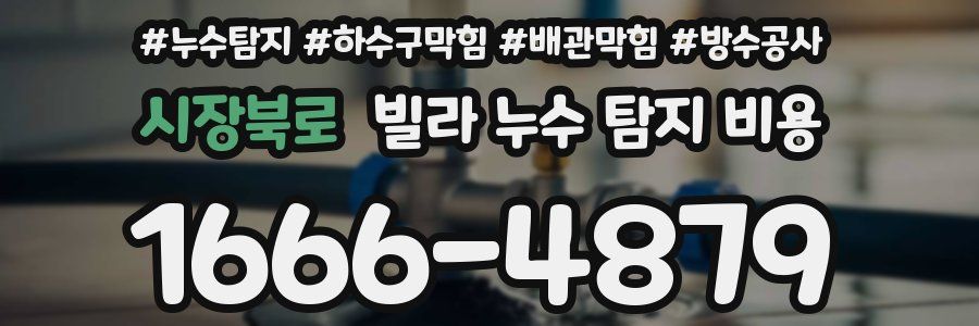 시장북로 빌라 누수 탐지 비용