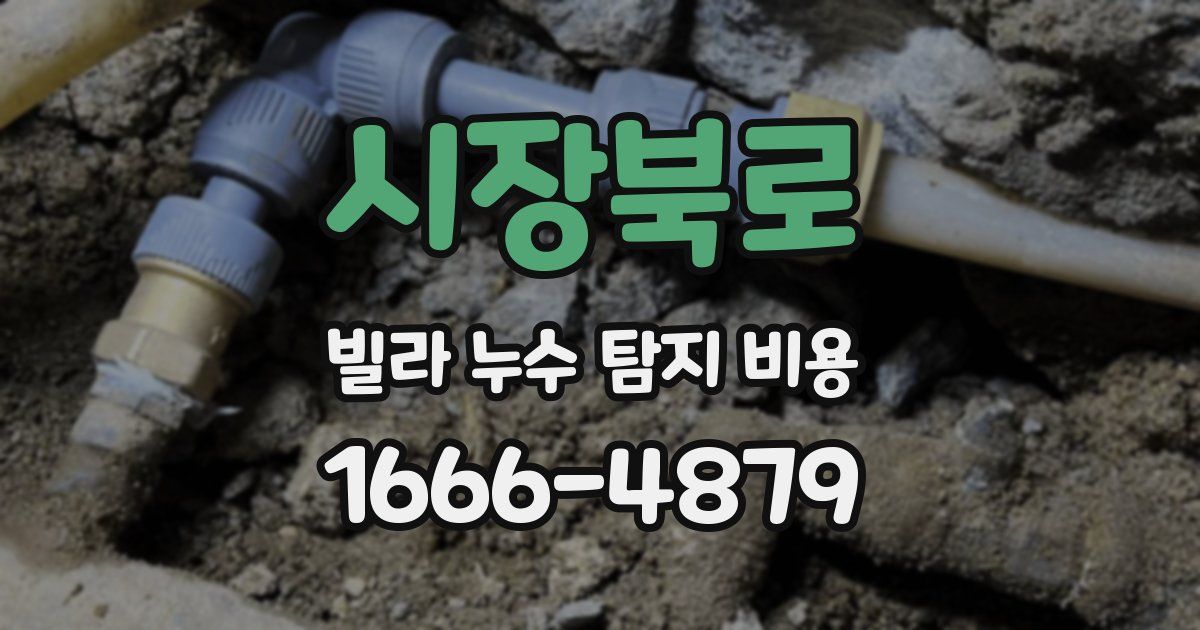 시장북로 빌라 누수 탐지 비용