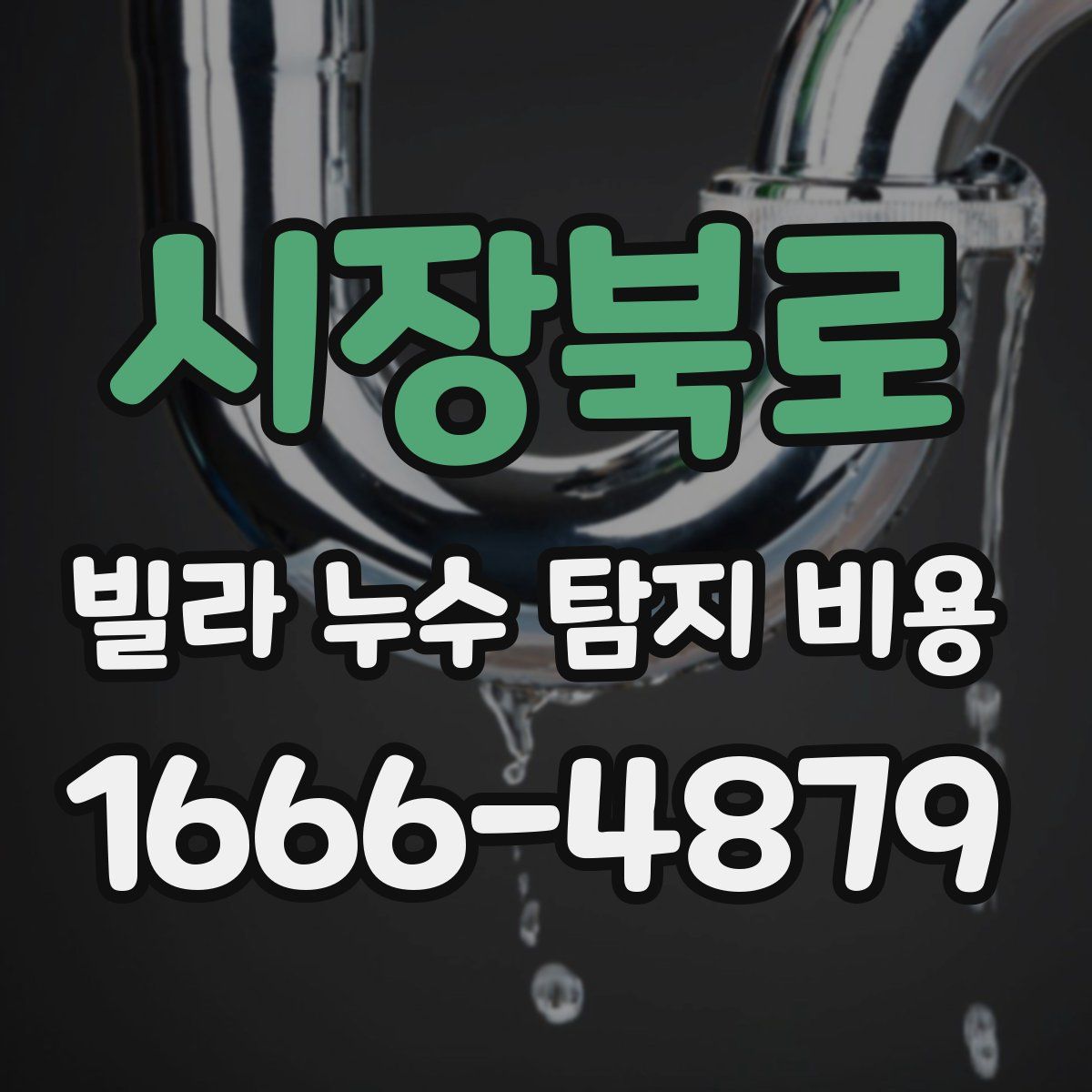 시장북로 빌라 누수 탐지 비용