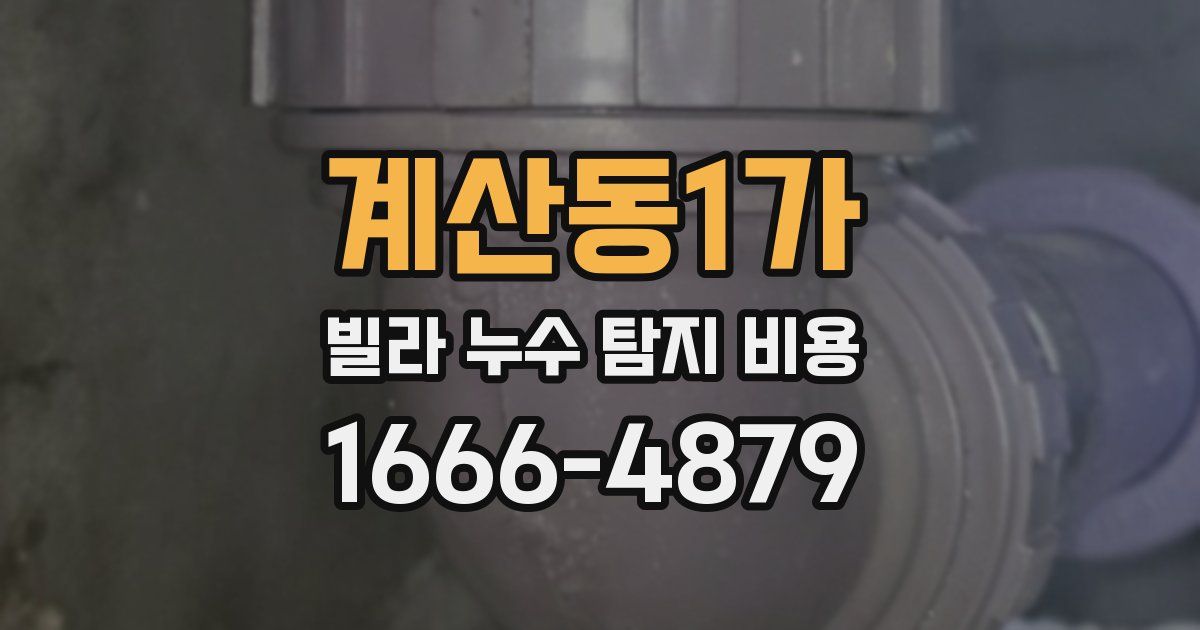 계산동1가 빌라 누수 탐지 비용