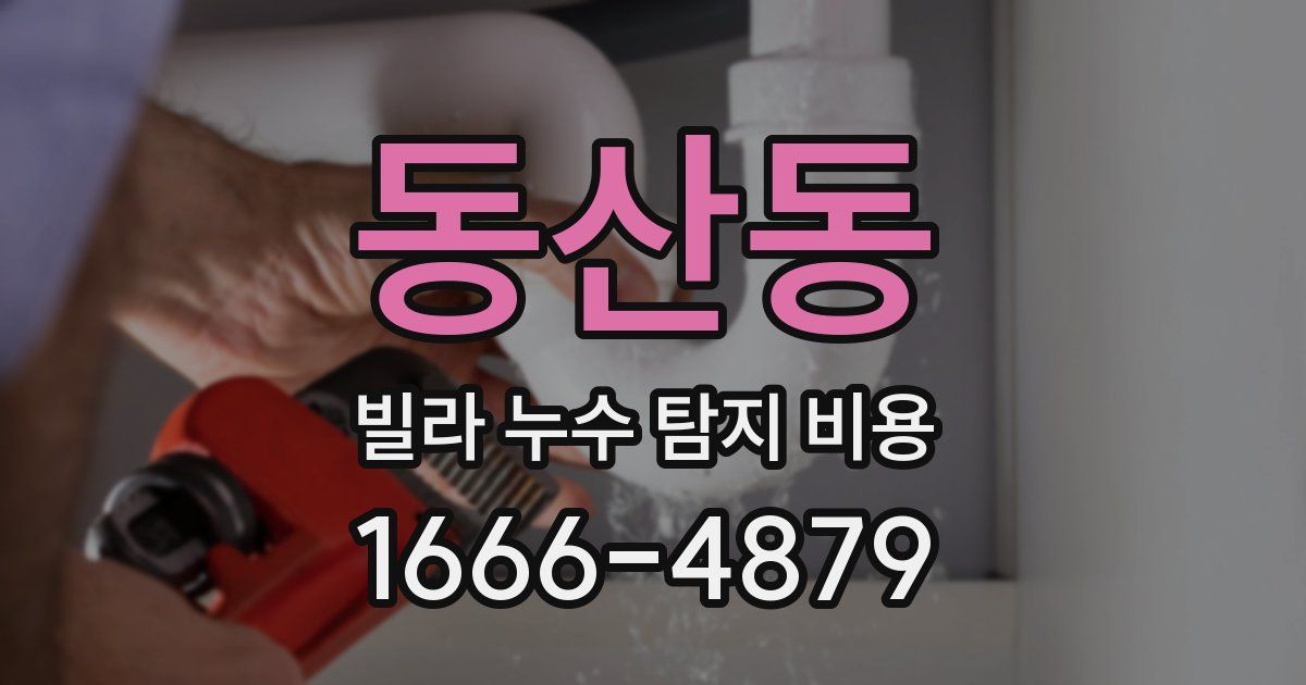 동산동 빌라 누수 탐지 비용