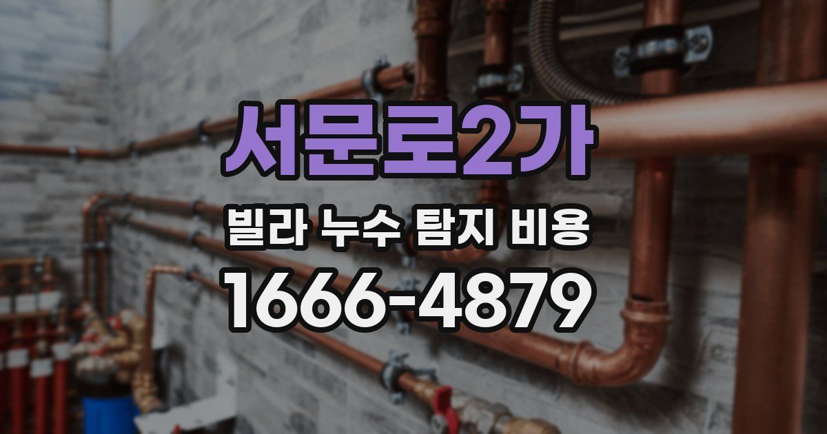 서문로2가 빌라 누수 탐지 비용