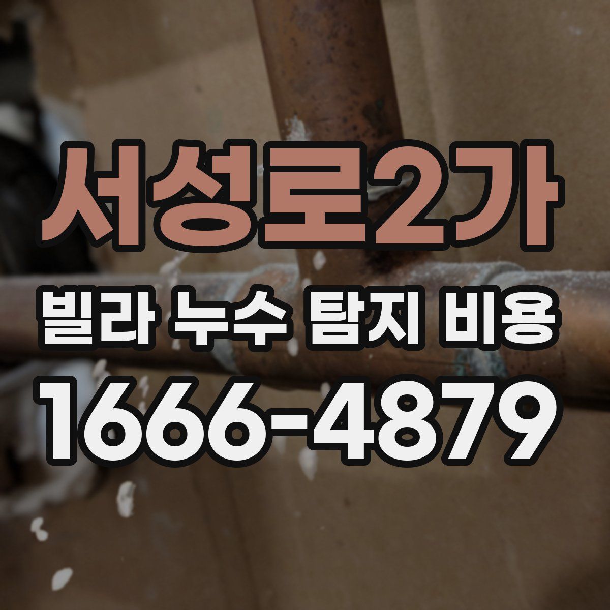 서성로2가 빌라 누수 탐지 비용