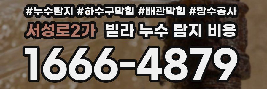 서성로2가 빌라 누수 탐지 비용