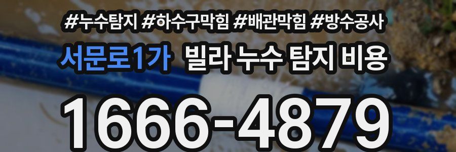 서문로1가 빌라 누수 탐지 비용
