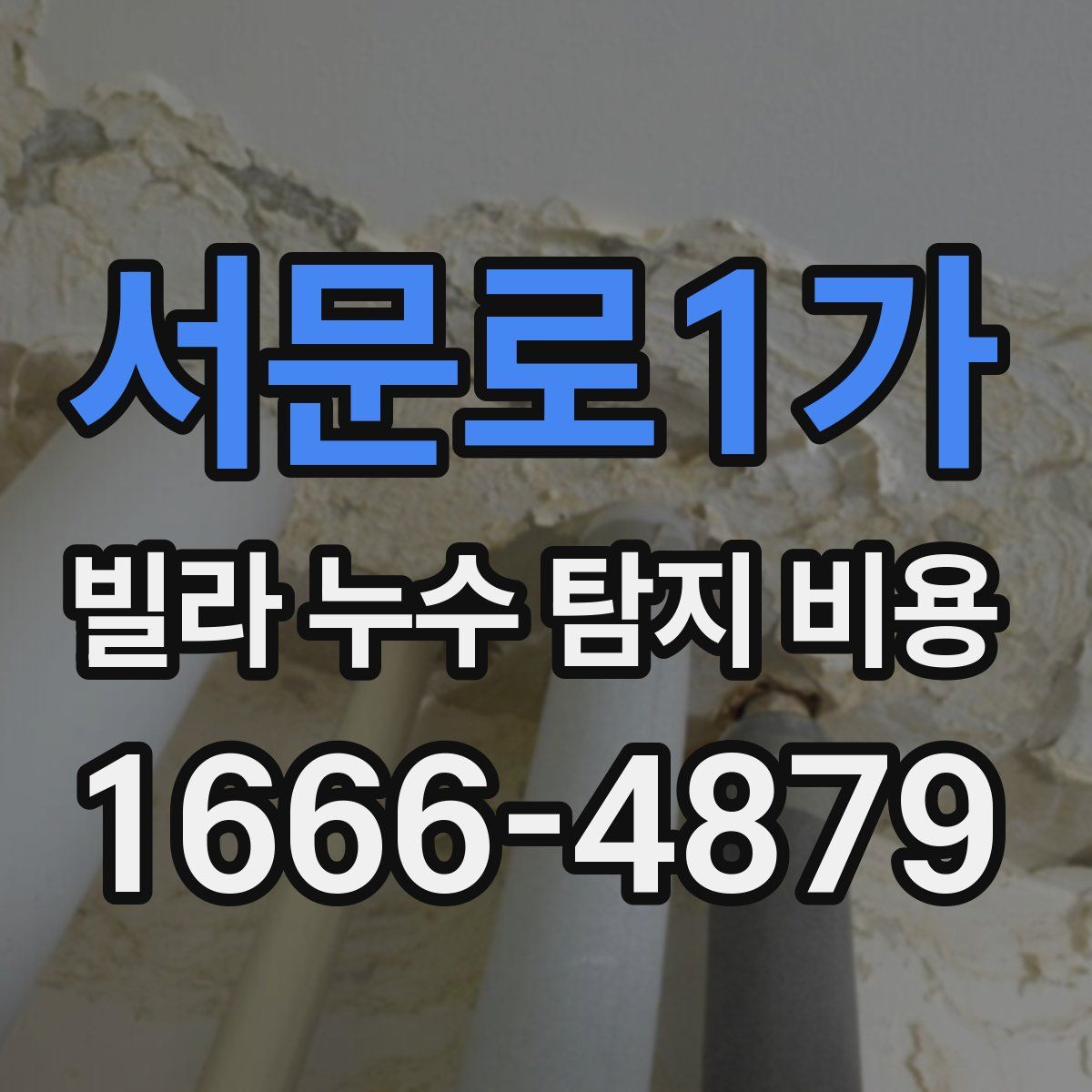 서문로1가 빌라 누수 탐지 비용