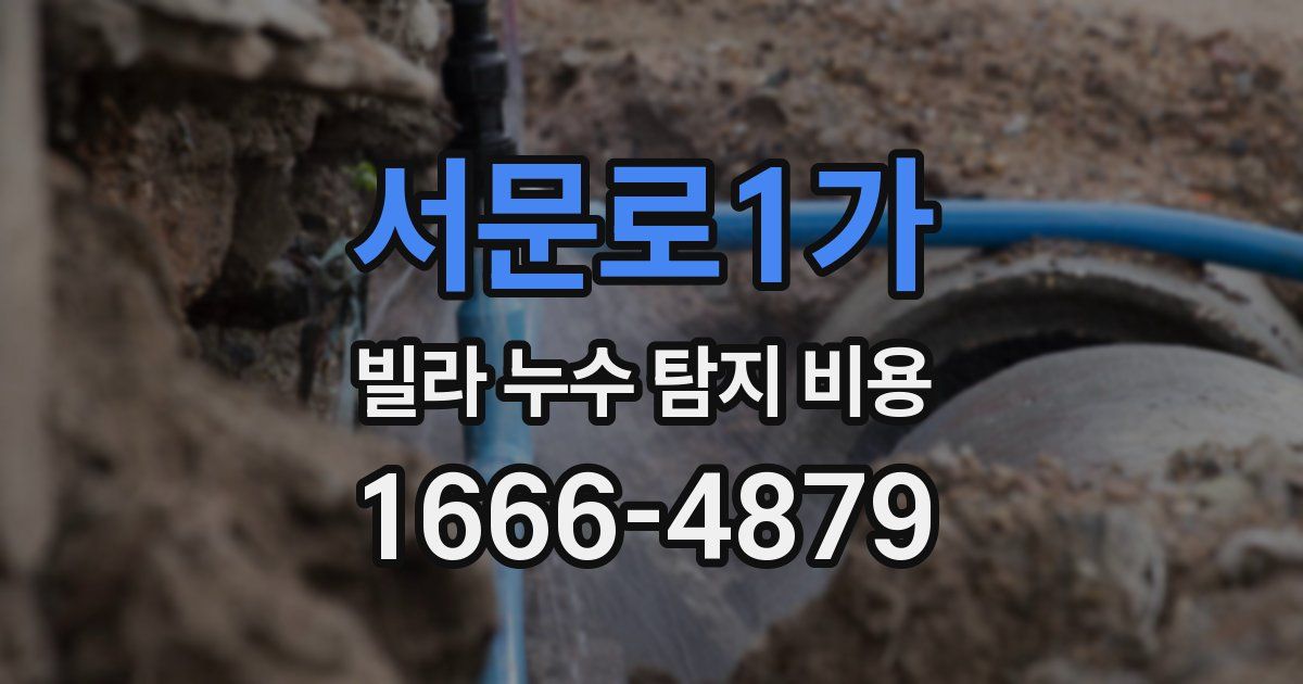 서문로1가 빌라 누수 탐지 비용