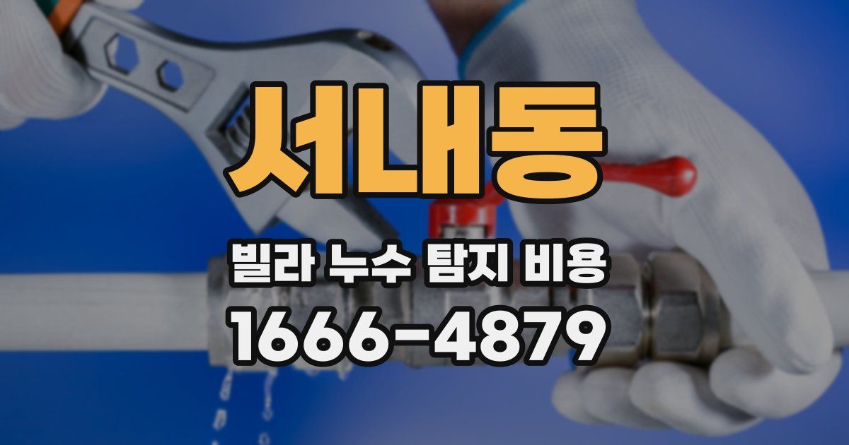 서내동 빌라 누수 탐지 비용