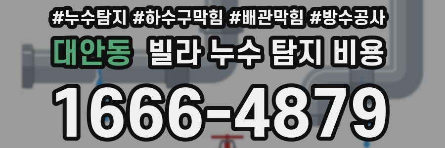대안동 빌라 누수 탐지 비용