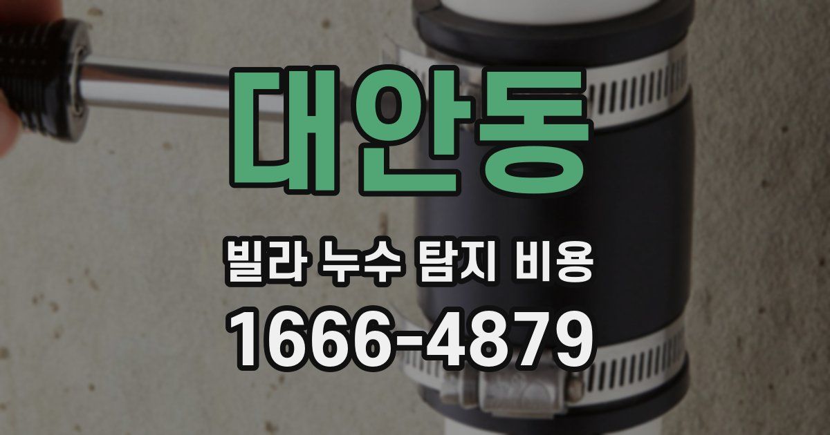 대안동 빌라 누수 탐지 비용
