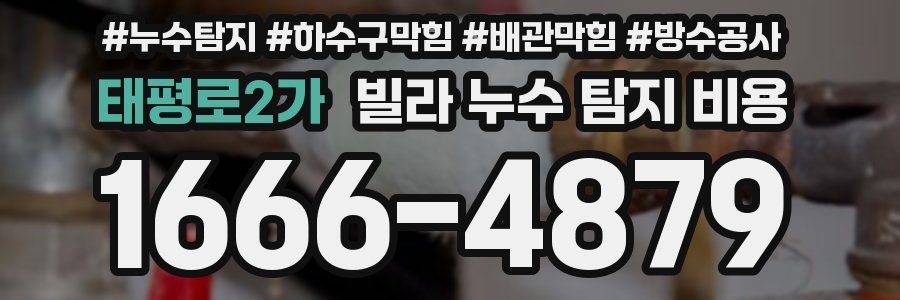 태평로2가 빌라 누수 탐지 비용