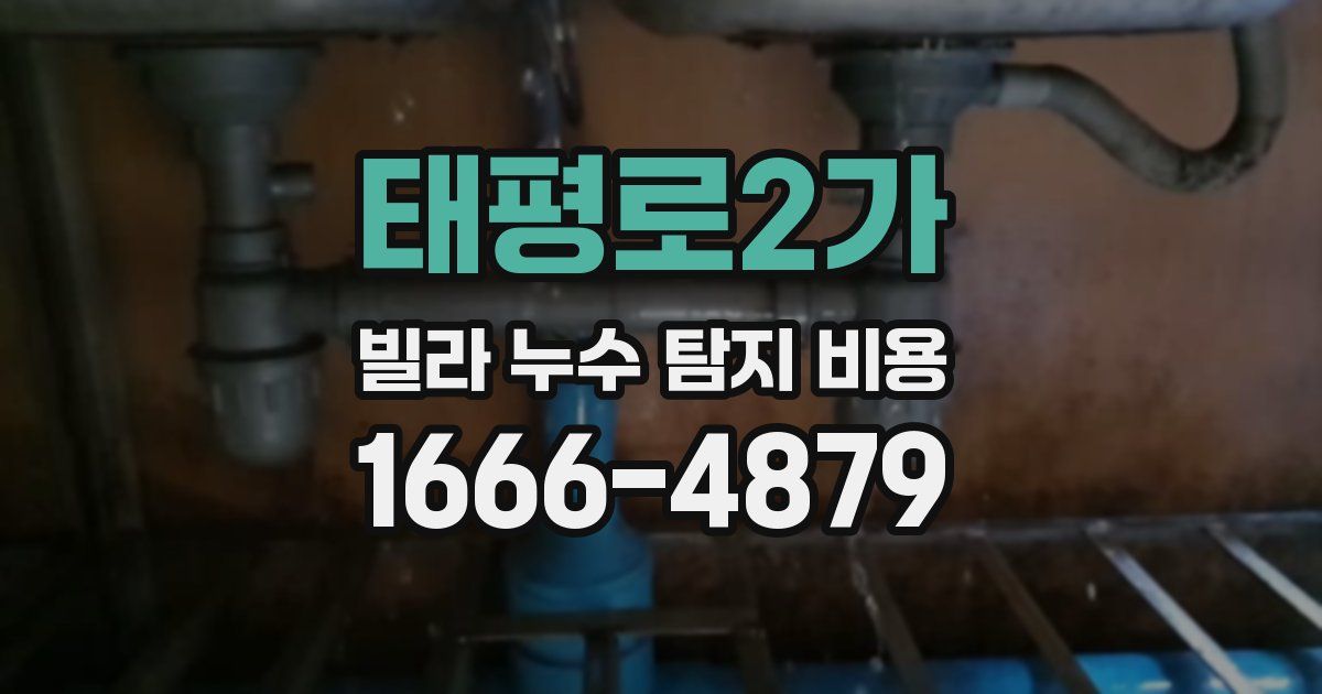 태평로2가 빌라 누수 탐지 비용
