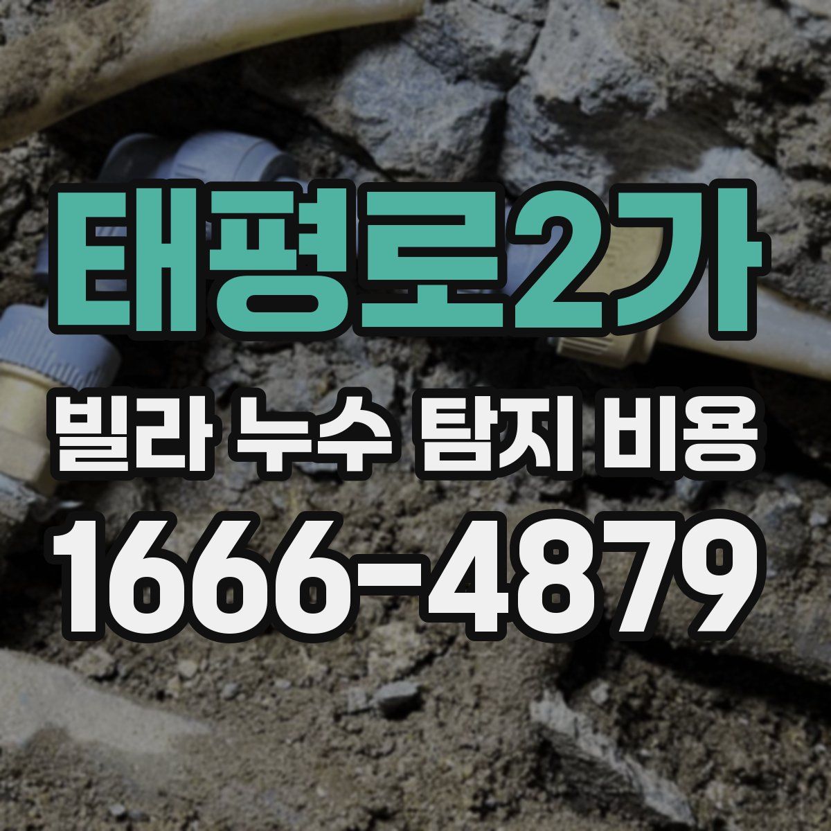 태평로2가 빌라 누수 탐지 비용
