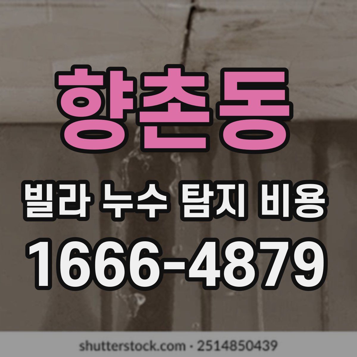 향촌동 빌라 누수 탐지 비용
