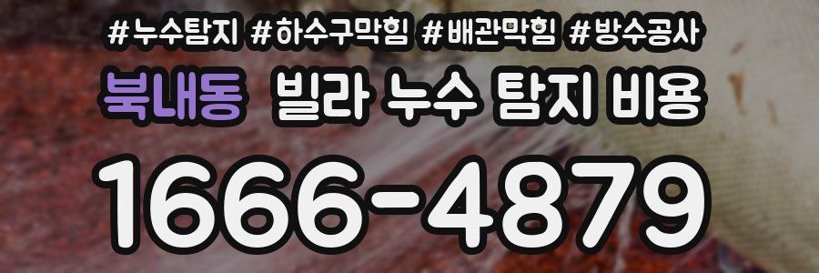 북내동 빌라 누수 탐지 비용