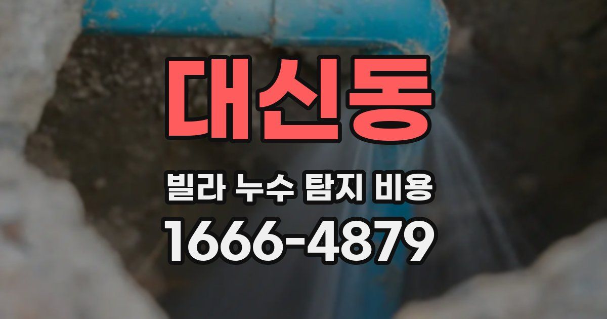 대신동 빌라 누수 탐지 비용