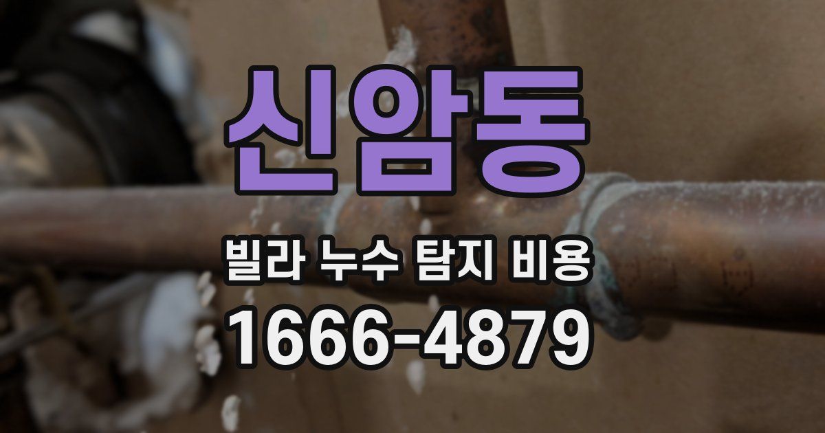 신암동 빌라 누수 탐지 비용