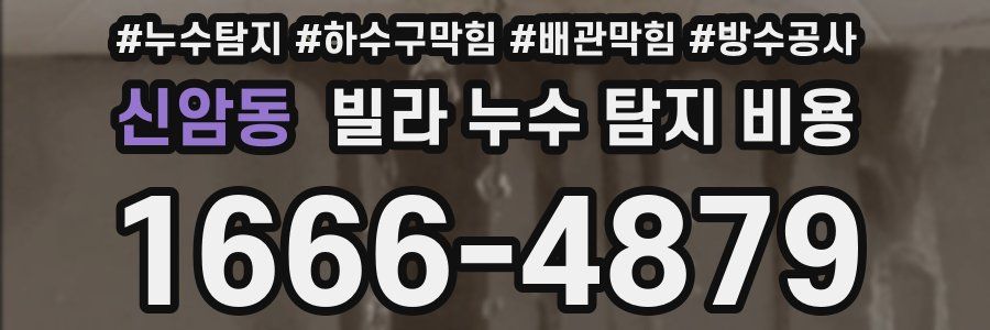 신암동 빌라 누수 탐지 비용
