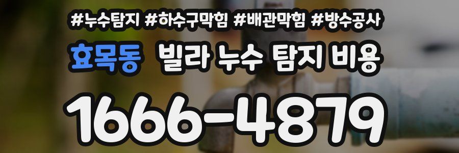 효목동 빌라 누수 탐지 비용