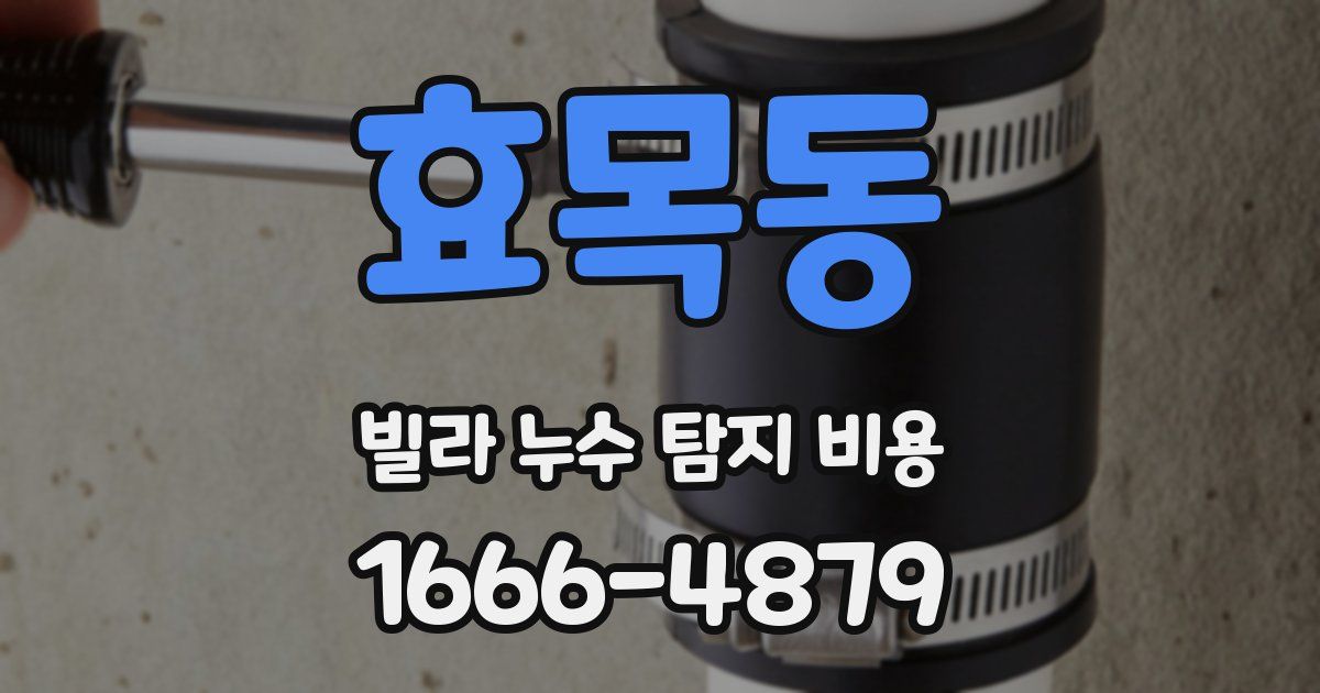 효목동 빌라 누수 탐지 비용