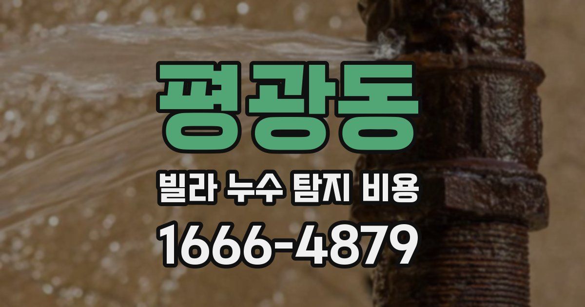 평광동 빌라 누수 탐지 비용