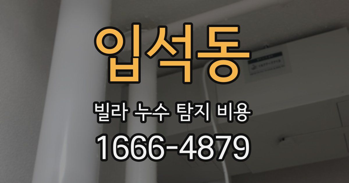 입석동 빌라 누수 탐지 비용