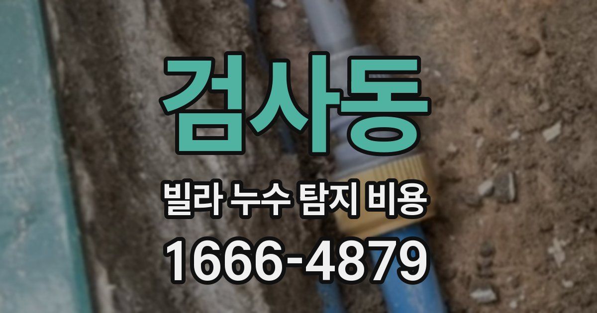 검사동 빌라 누수 탐지 비용