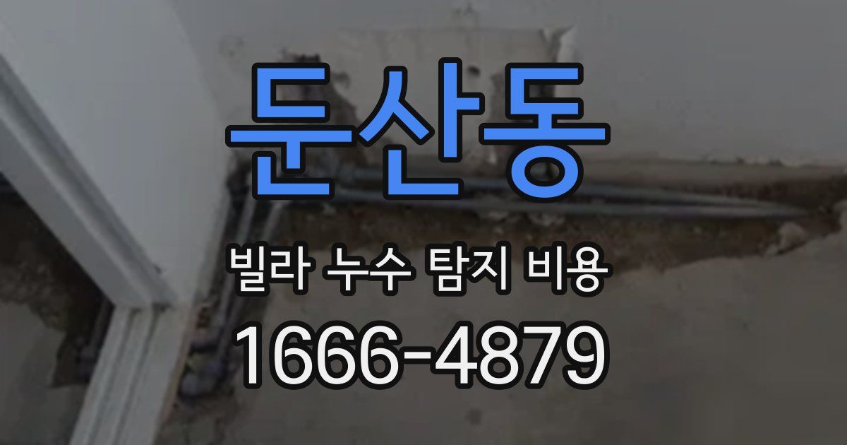 둔산동 빌라 누수 탐지 비용