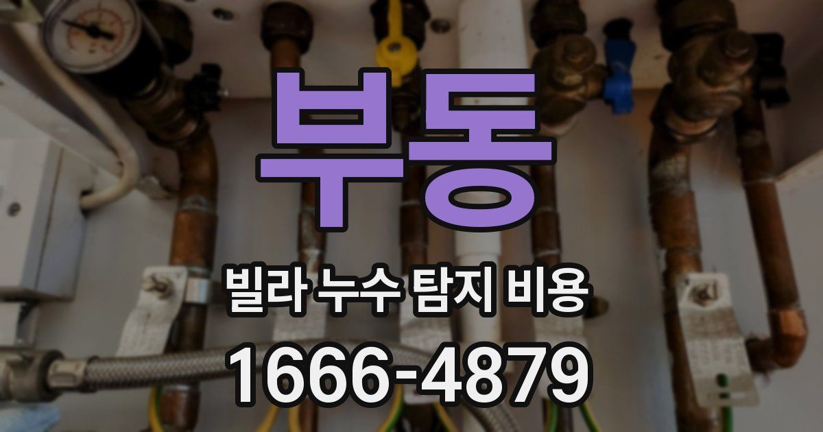 부동 빌라 누수 탐지 비용
