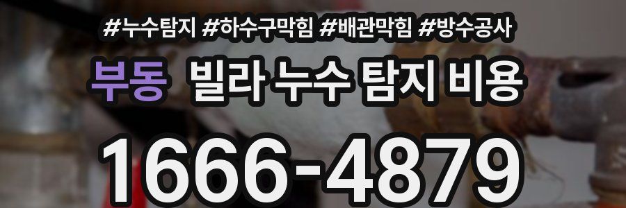 부동 빌라 누수 탐지 비용