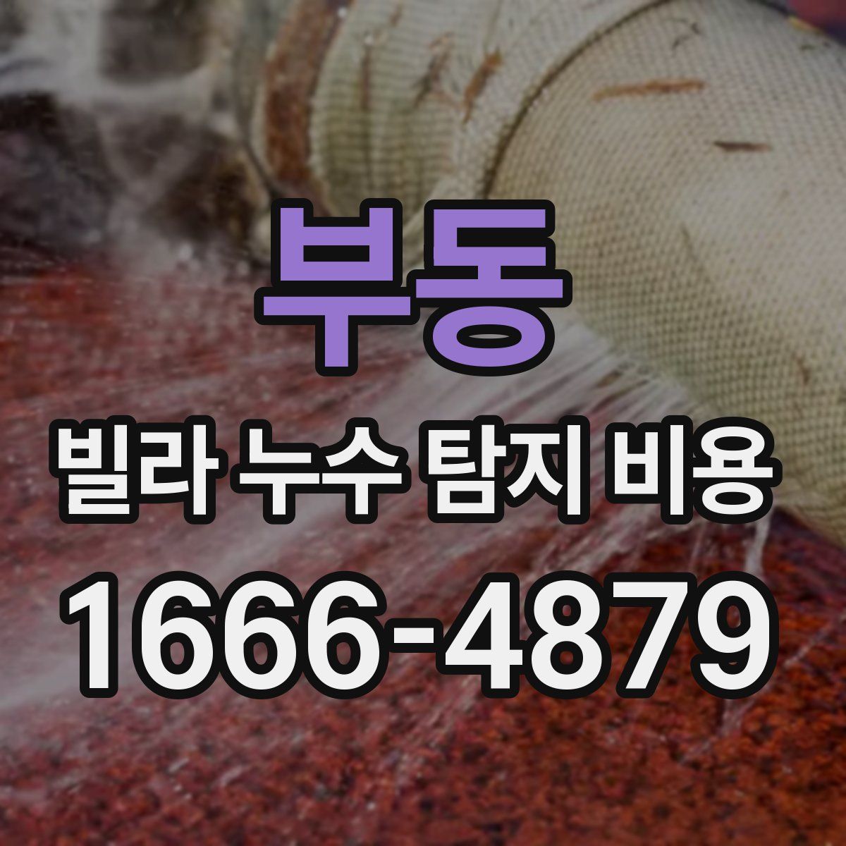 부동 빌라 누수 탐지 비용