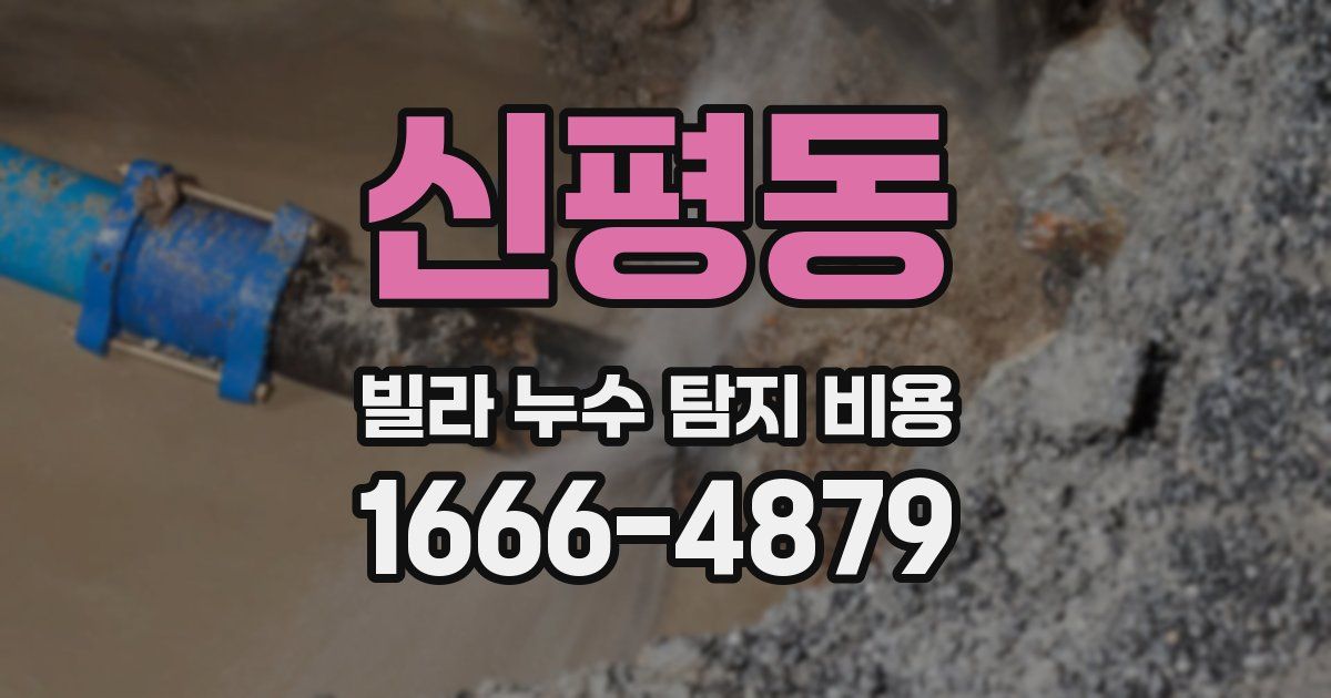 신평동 빌라 누수 탐지 비용