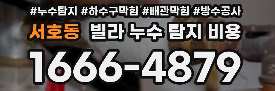 서호동 빌라 누수 탐지 비용
