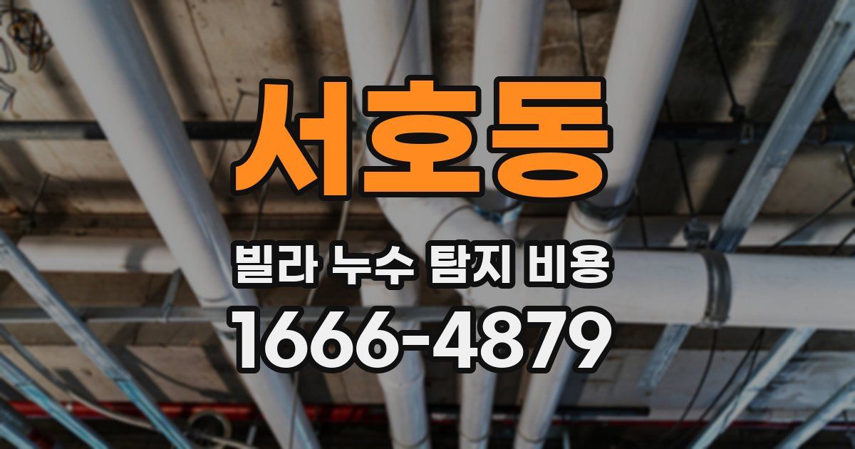 서호동 빌라 누수 탐지 비용