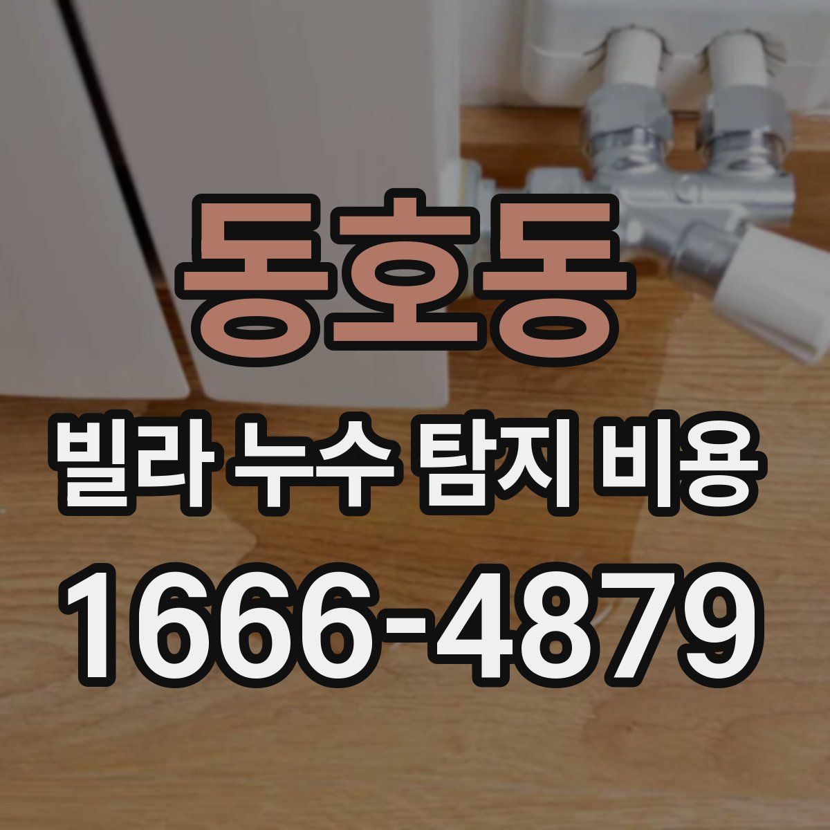 동호동 빌라 누수 탐지 비용