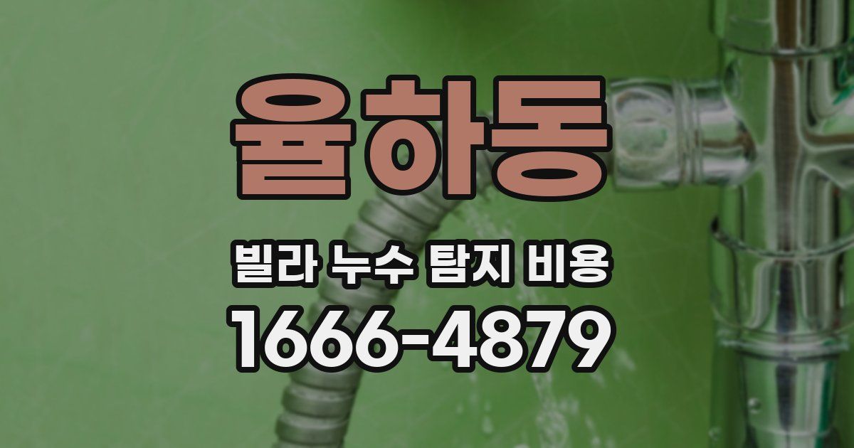 율하동 빌라 누수 탐지 비용