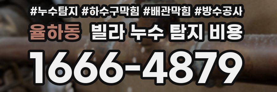 율하동 빌라 누수 탐지 비용