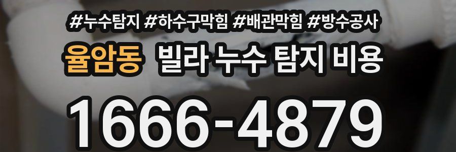 율암동 빌라 누수 탐지 비용